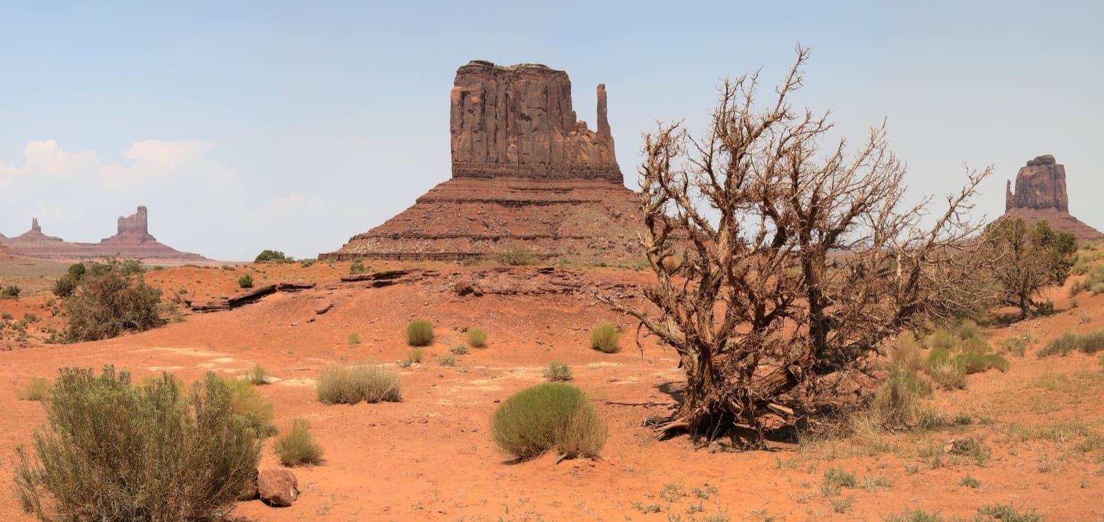 A red sandstone butte rising from desert scrub under a pale sky