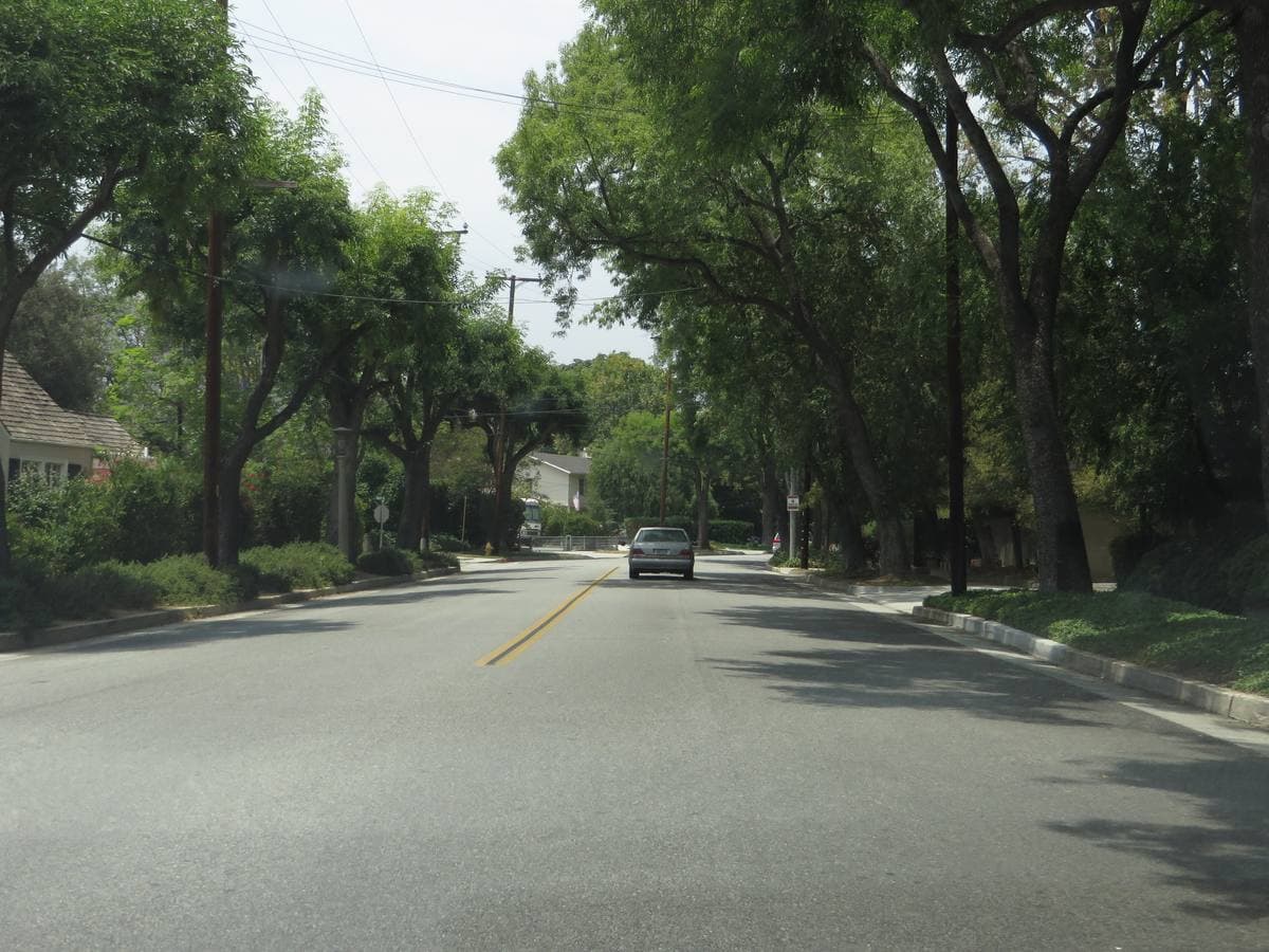 A wide, quiet street lined with tall trees and lawns