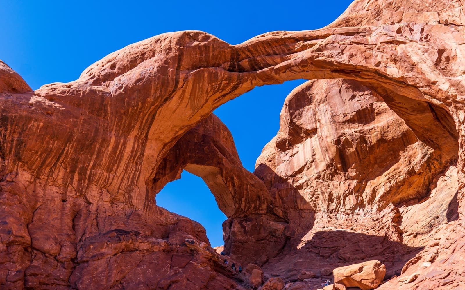 Two red sandstone arches joined at one end against a blue sky