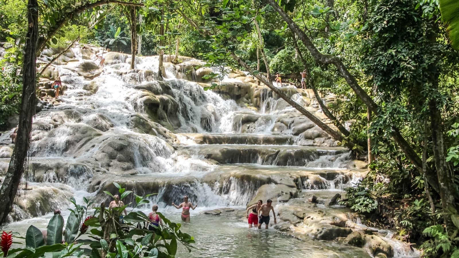 A wide stepped waterfall running through tropical trees, people climbing it