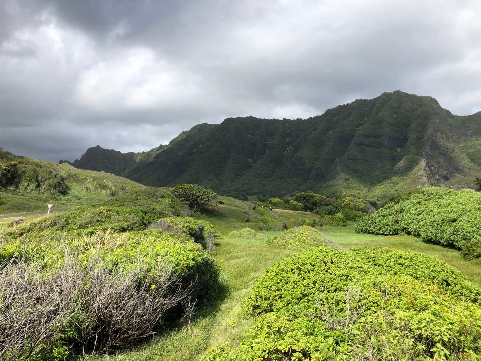 Green slopes rising into the dark ridges of Kaʻaʻawa Valley under cloud