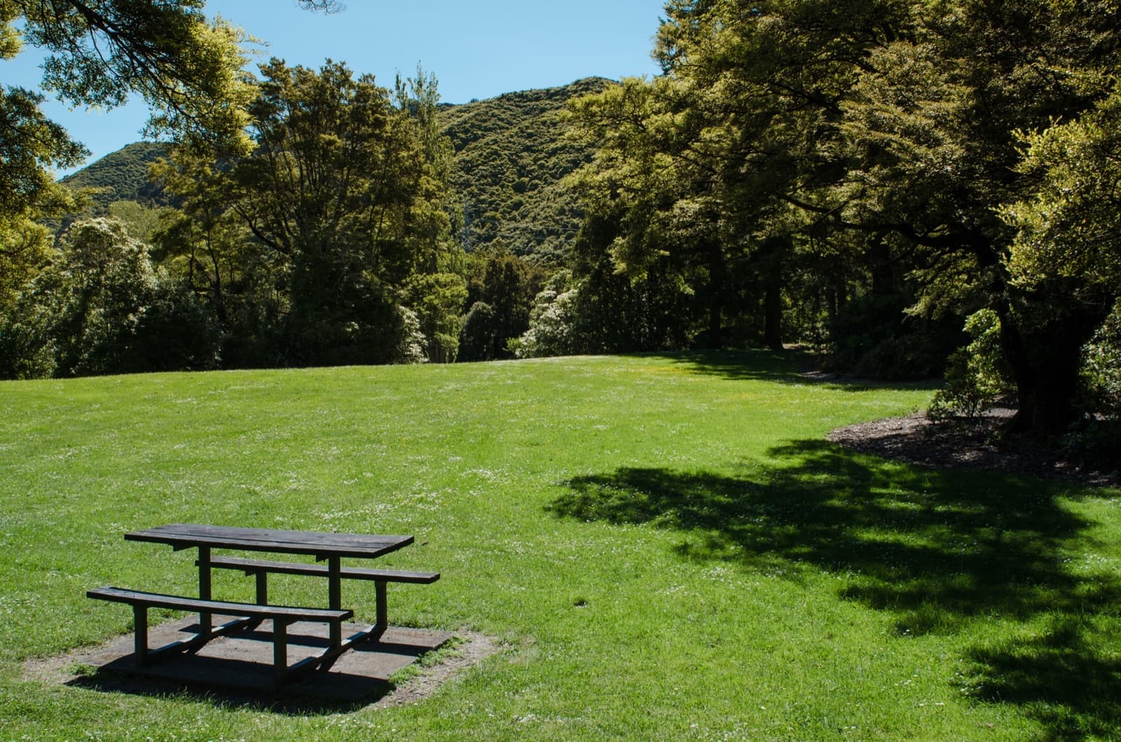 A sunny lawn edged by mature trees and bush-covered hills