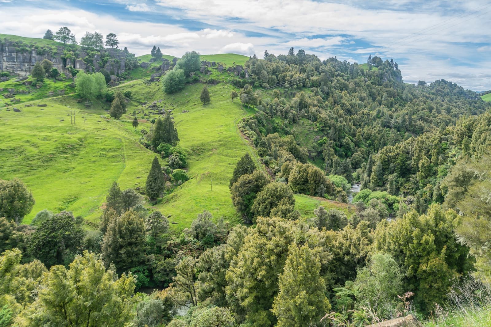 Green farmland and native bush with limestone outcrops