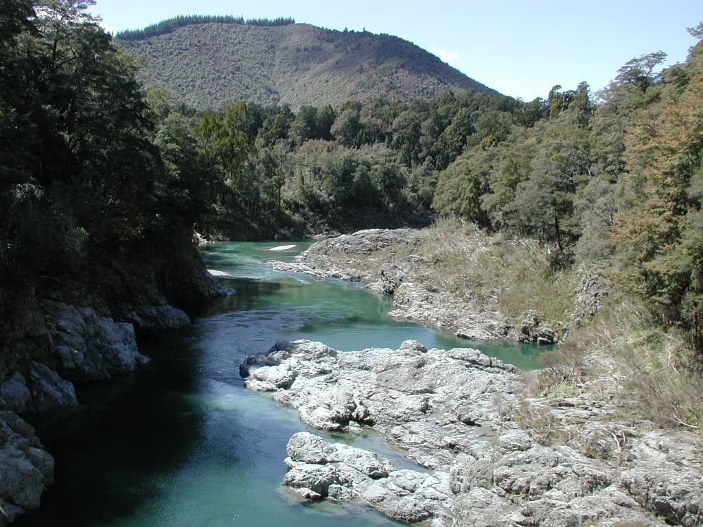 A clear river running through native forest