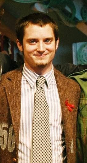 Elijah Wood in a tweed jacket and tie smiles on a red carpet