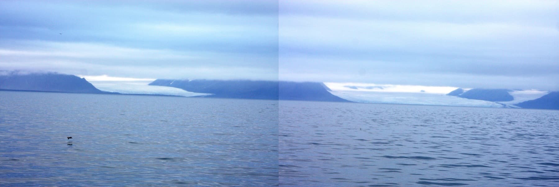 A wide Arctic bay with a glacier front and dark mountains