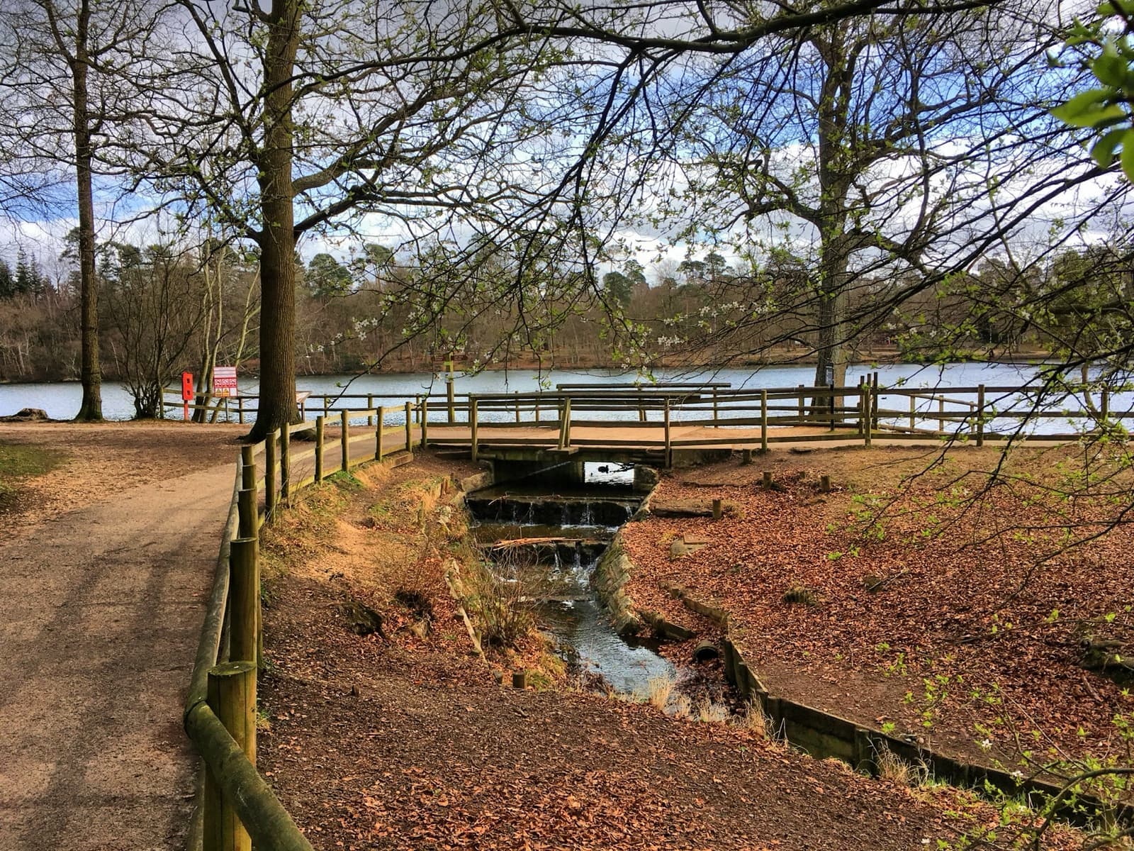A woodland path beside a stream with a lake through bare trees