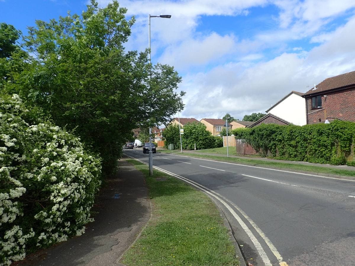 A quiet suburban road with hedges and brick houses under a blue sky