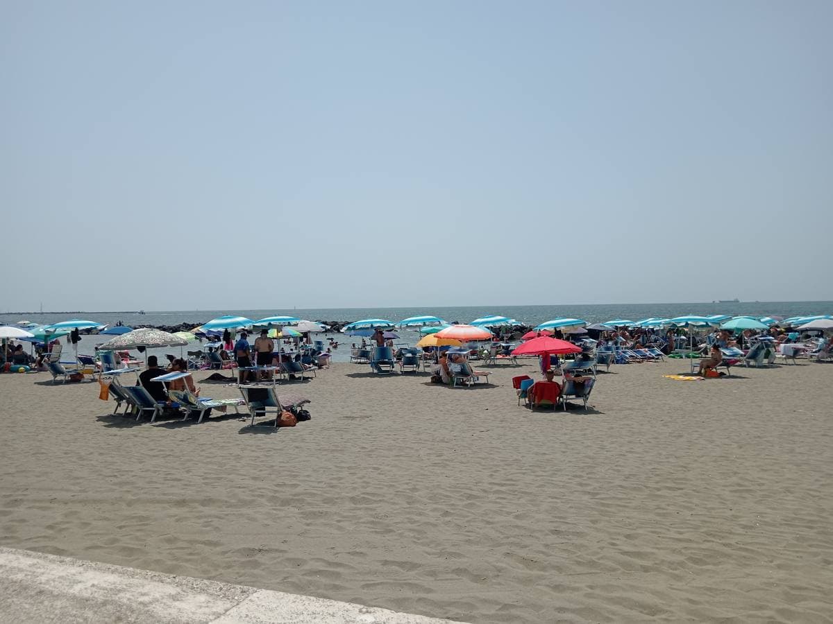 A wide sandy beach with rows of beach umbrellas and a hazy sea