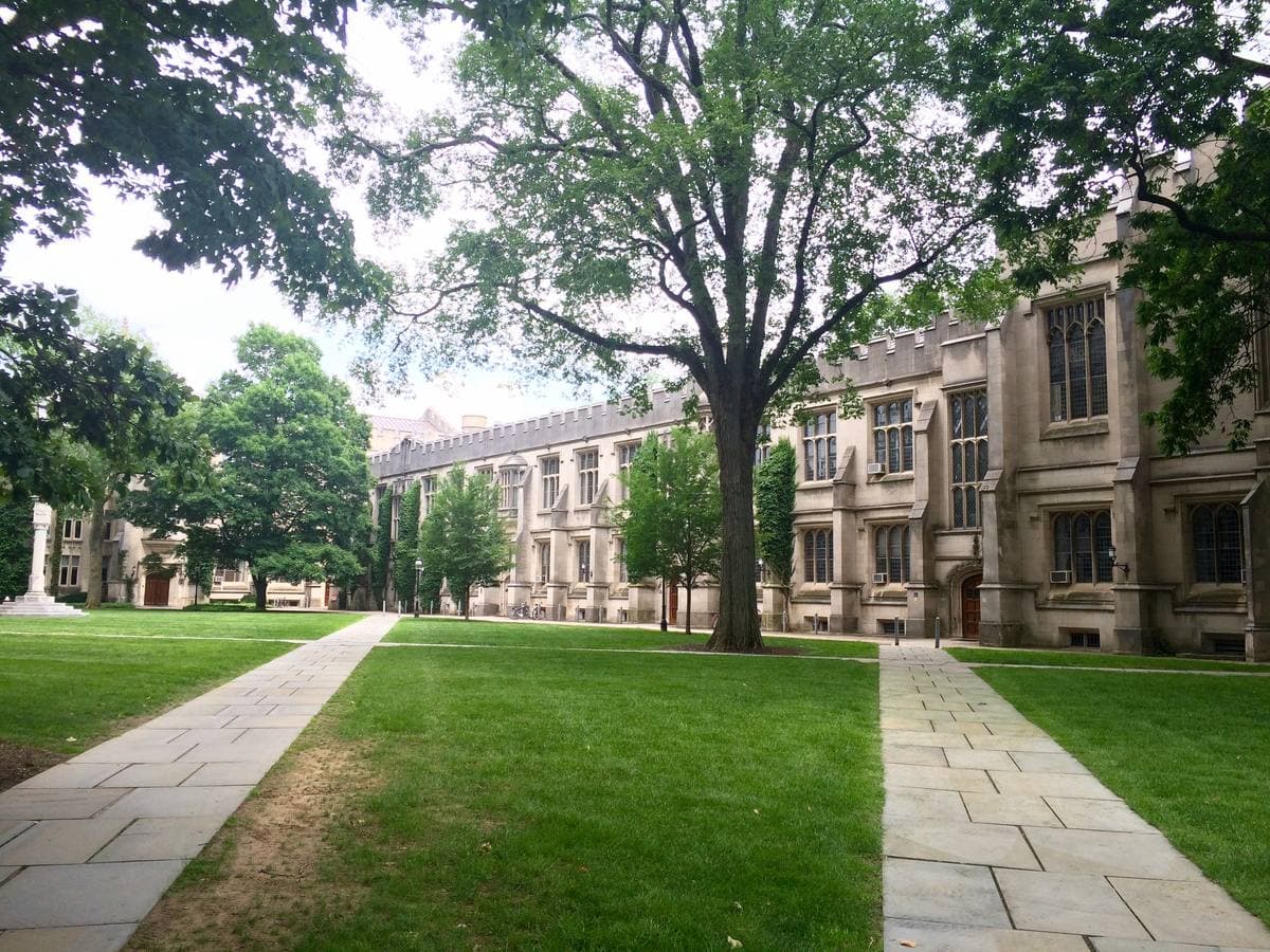 A long stone lecture-hall building behind a lawn, paved paths and big shade trees