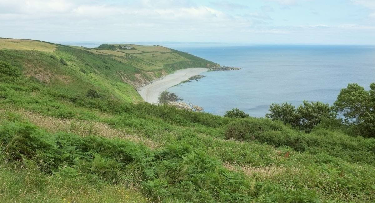 Green slopes falling to a curved beach and a headland