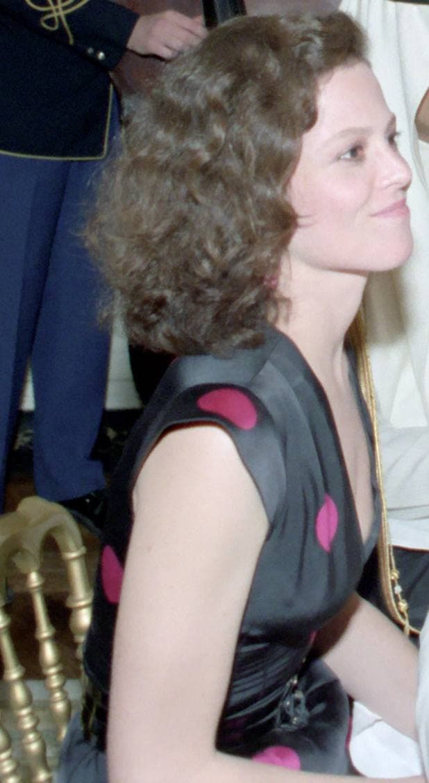 Sigourney Weaver, curly shoulder-length hair, in a dark dress at a candlelit dinner table
