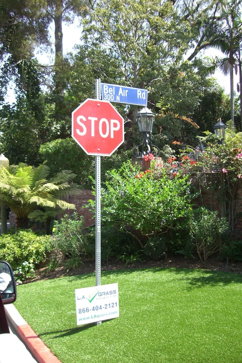 A tree-lined hillside road in Bel-Air