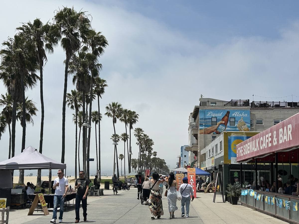 Palm trees along a wide boardwalk with shopfronts and signs on the right