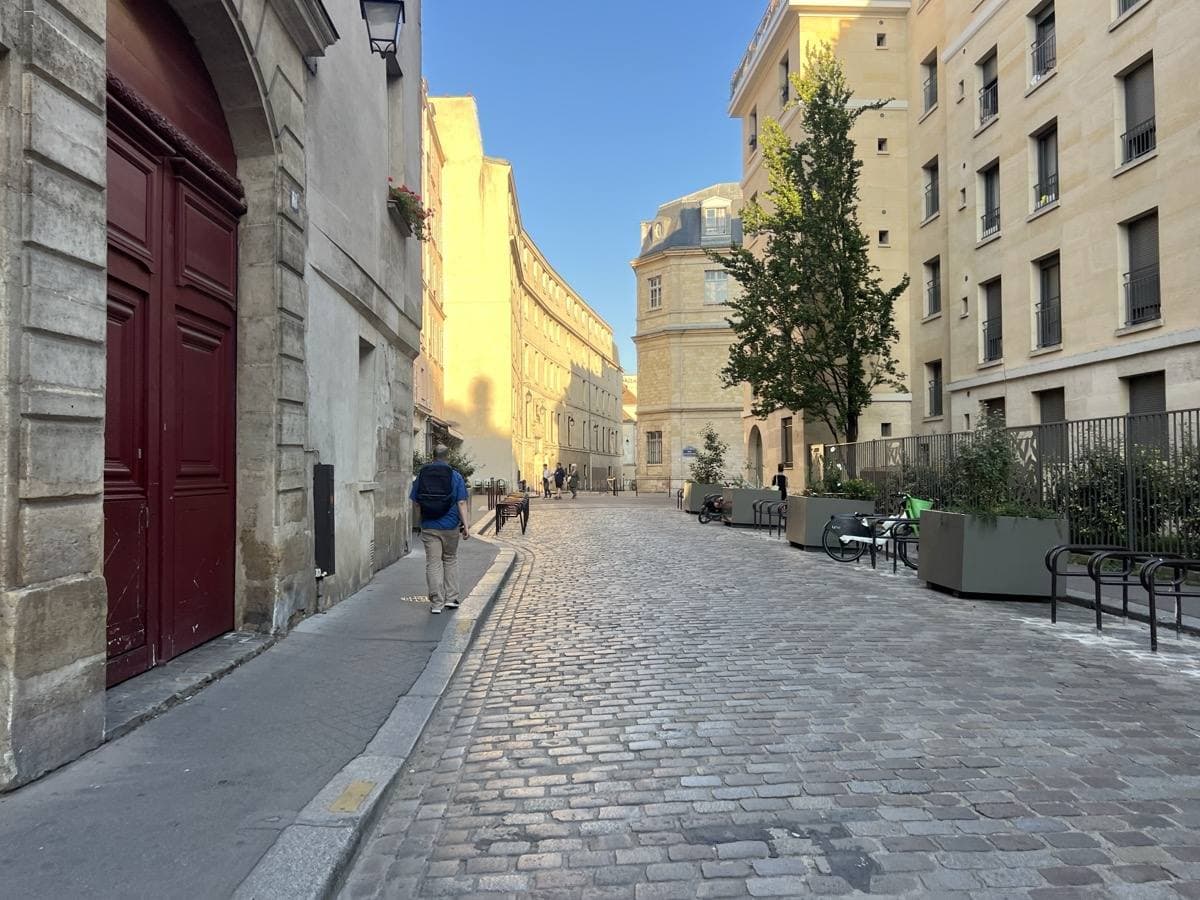 A cobbled street with a dark red carriage door and young trees