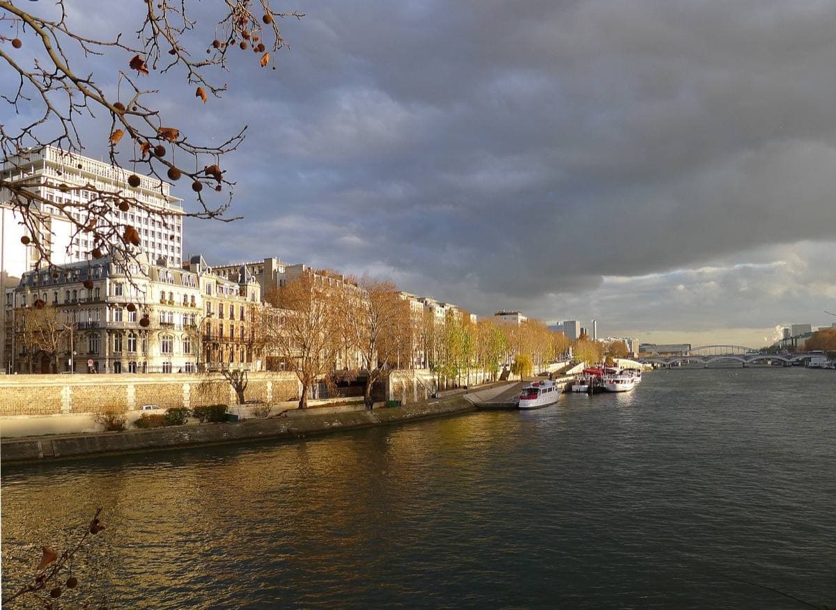 Boats moored along a river quay under trees, in low winter light