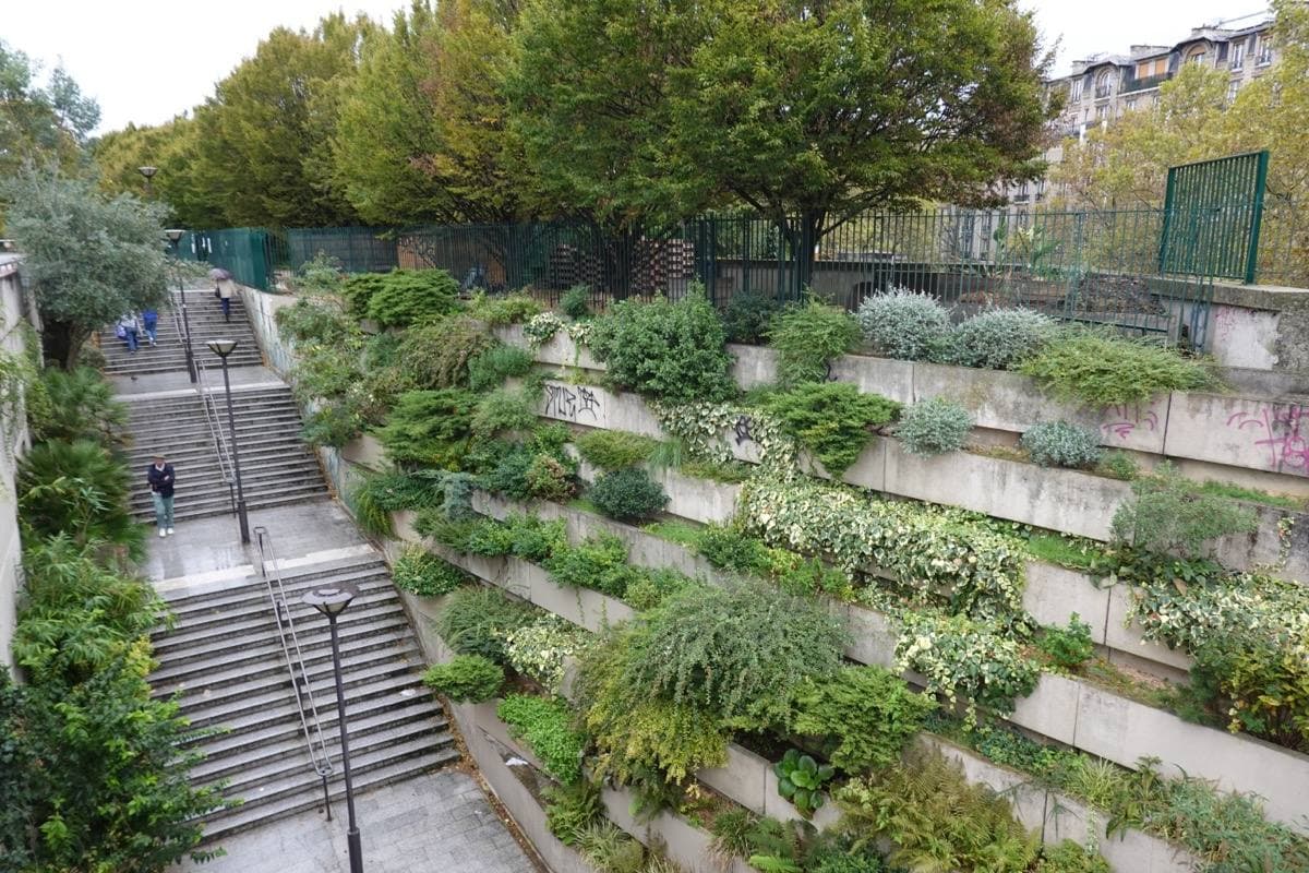 Stairs climbing past planted terraces to a raised garden walk