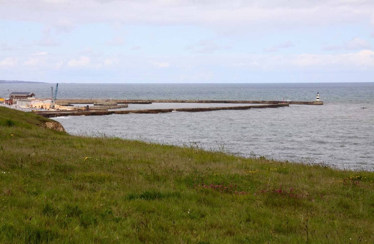 A grassy clifftop above a grey sea and a harbour pier