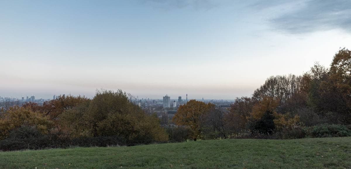 Autumn trees on a grassy hill with the London skyline far off in haze