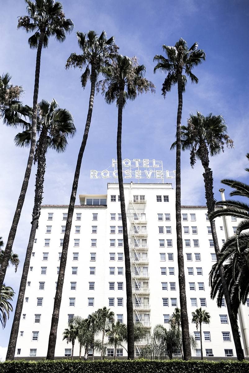 A white twelve-storey hotel seen up through tall palms against a blue sky