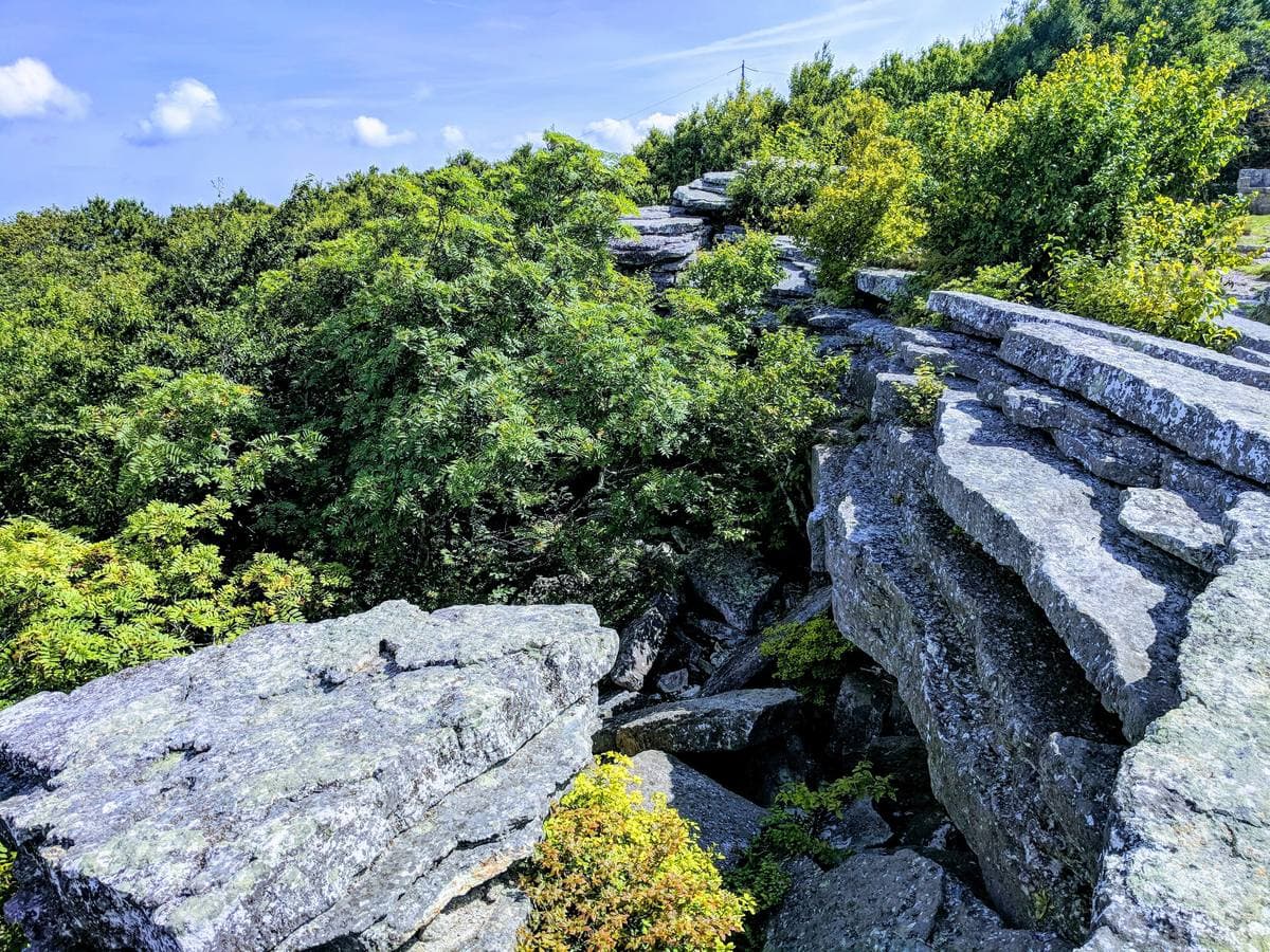 Grey lichen-covered rocks among green trees on top of Bald Knob under a blue sky