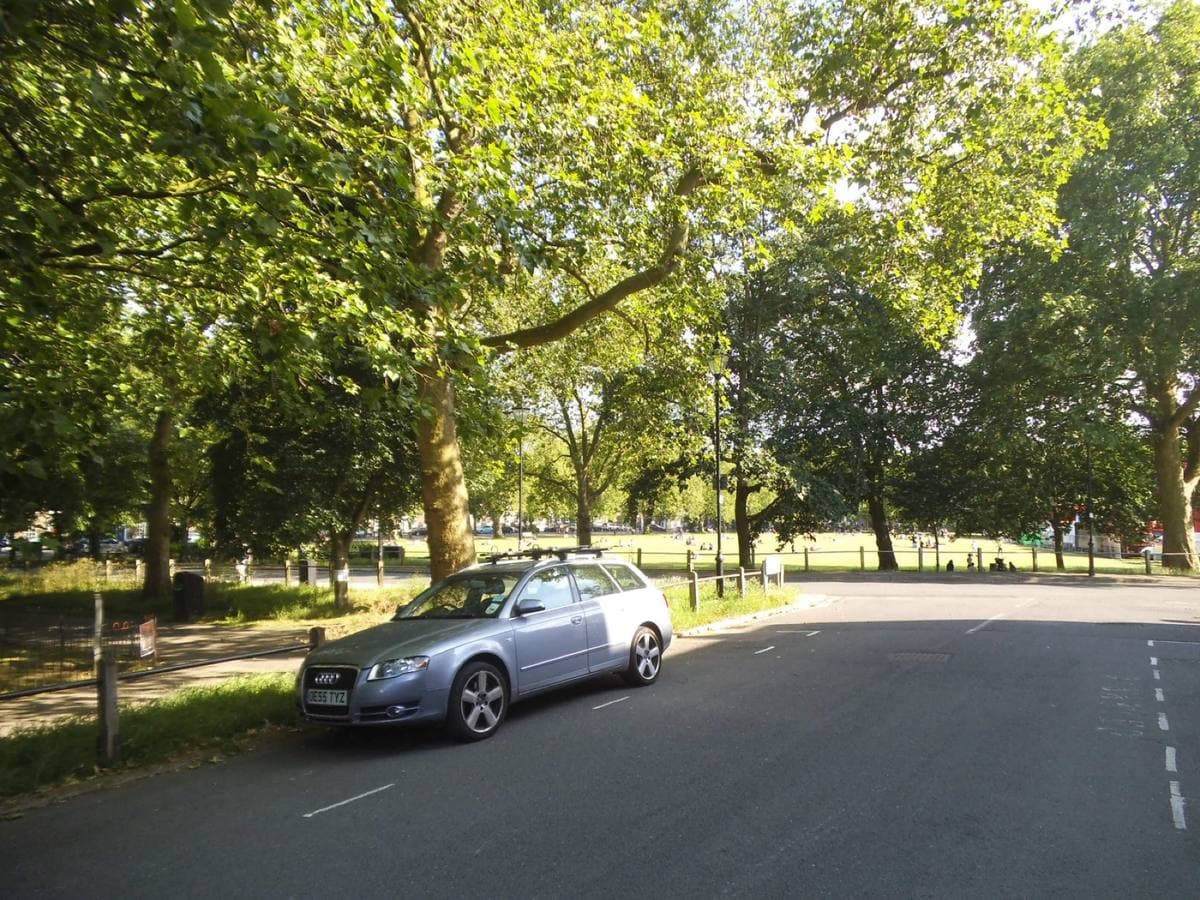 A path under tall plane trees across green parkland, with terraced houses beyond