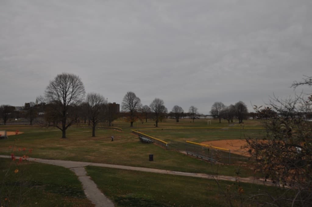 Playing fields and trees at a waterfront park