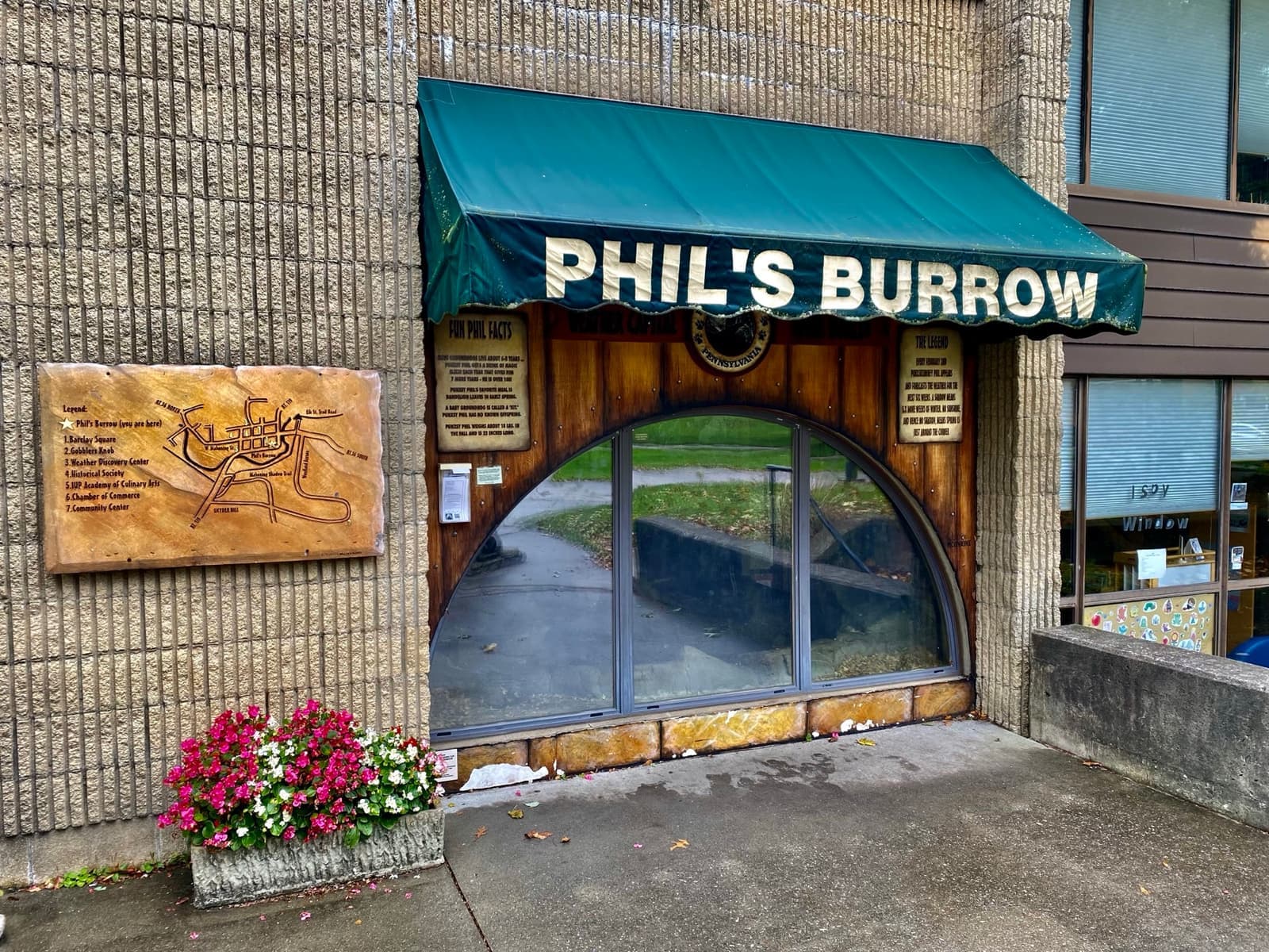 A rounded viewing window under a green awning reading Phil’s Burrow, set into a library wall