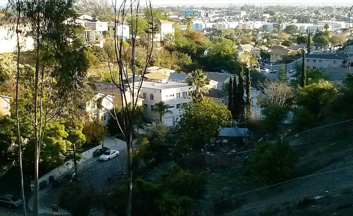 Small houses and trees spread over a hillside with the city behind