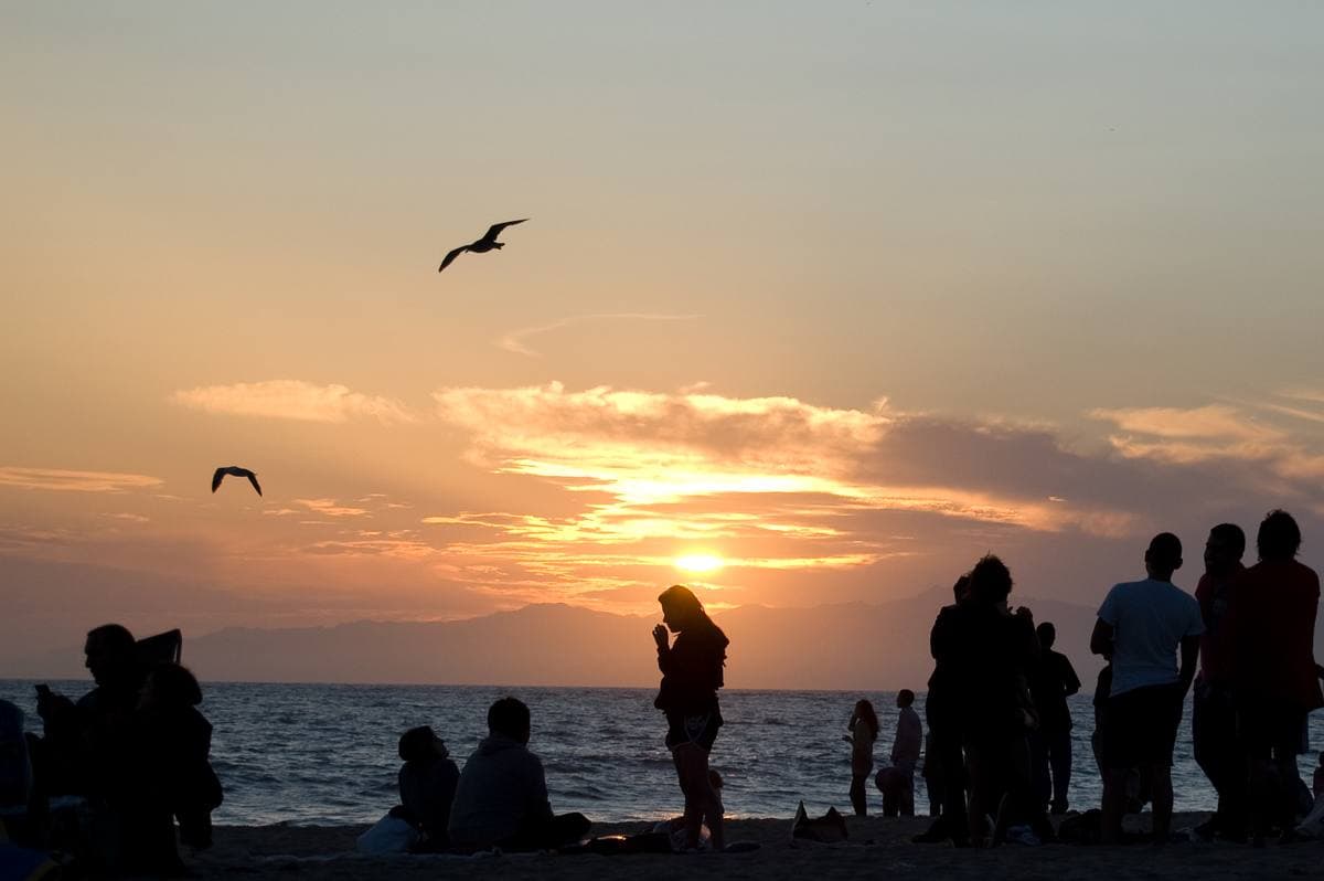 People silhouetted at the water’s edge at sunset, gulls overhead