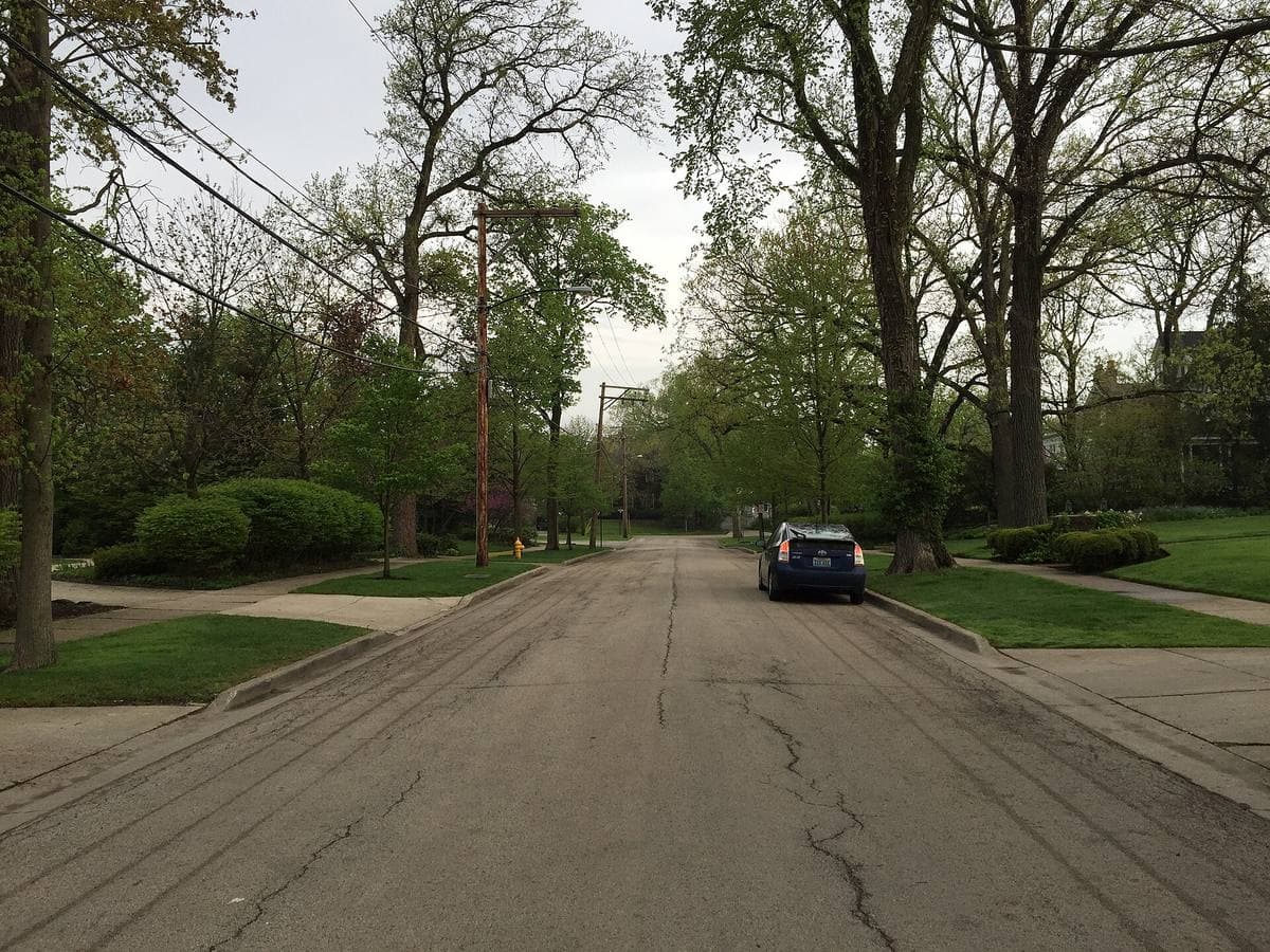 A quiet suburban street under tall trees, lawns on both sides and one parked car