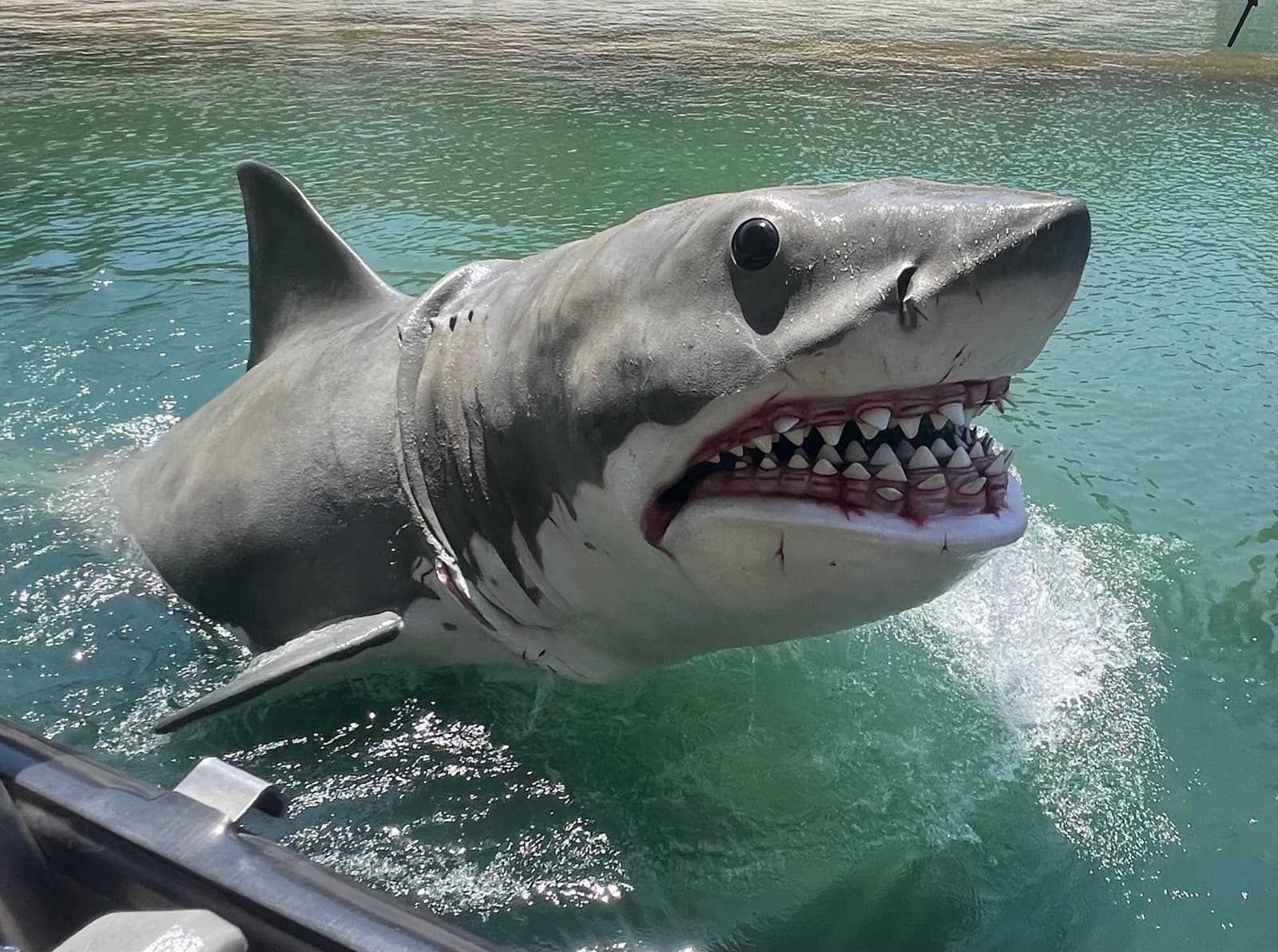 A mechanical great white shark bursting from green water beside the tram