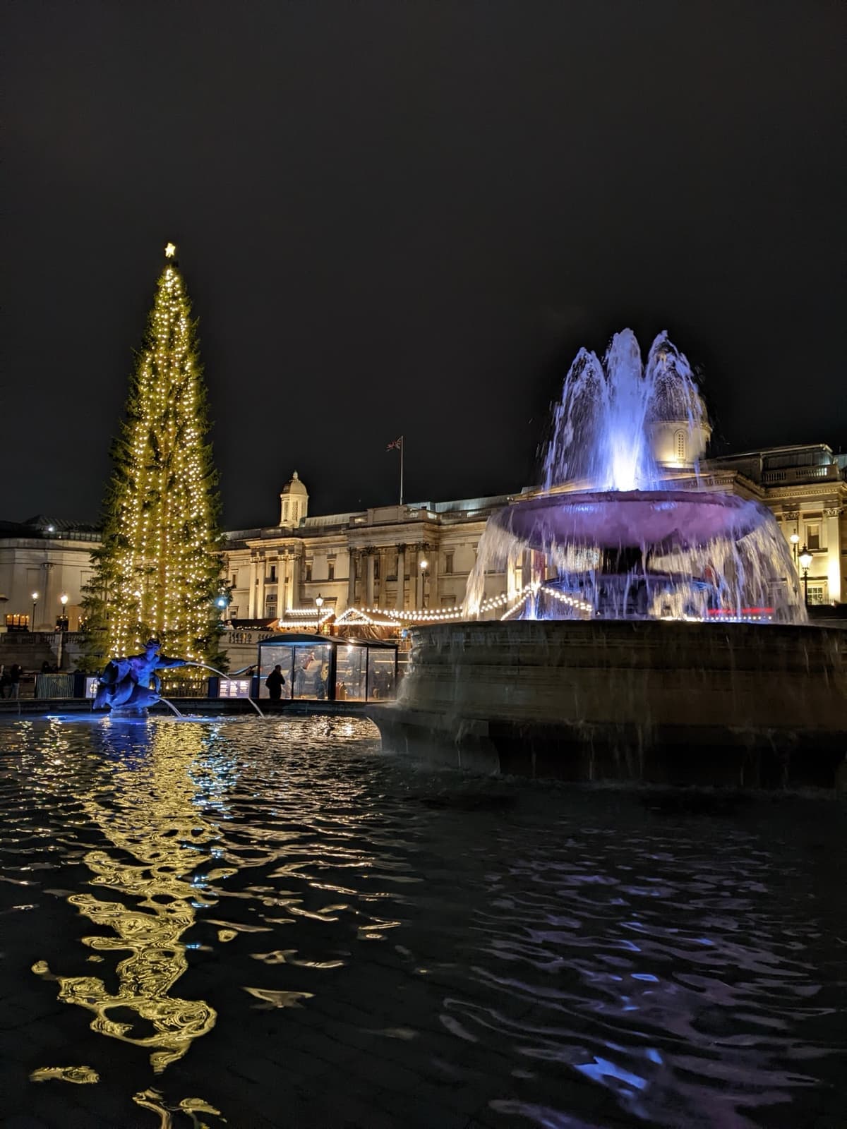 The lit Christmas tree in Trafalgar Square at night beside a blue-lit fountain