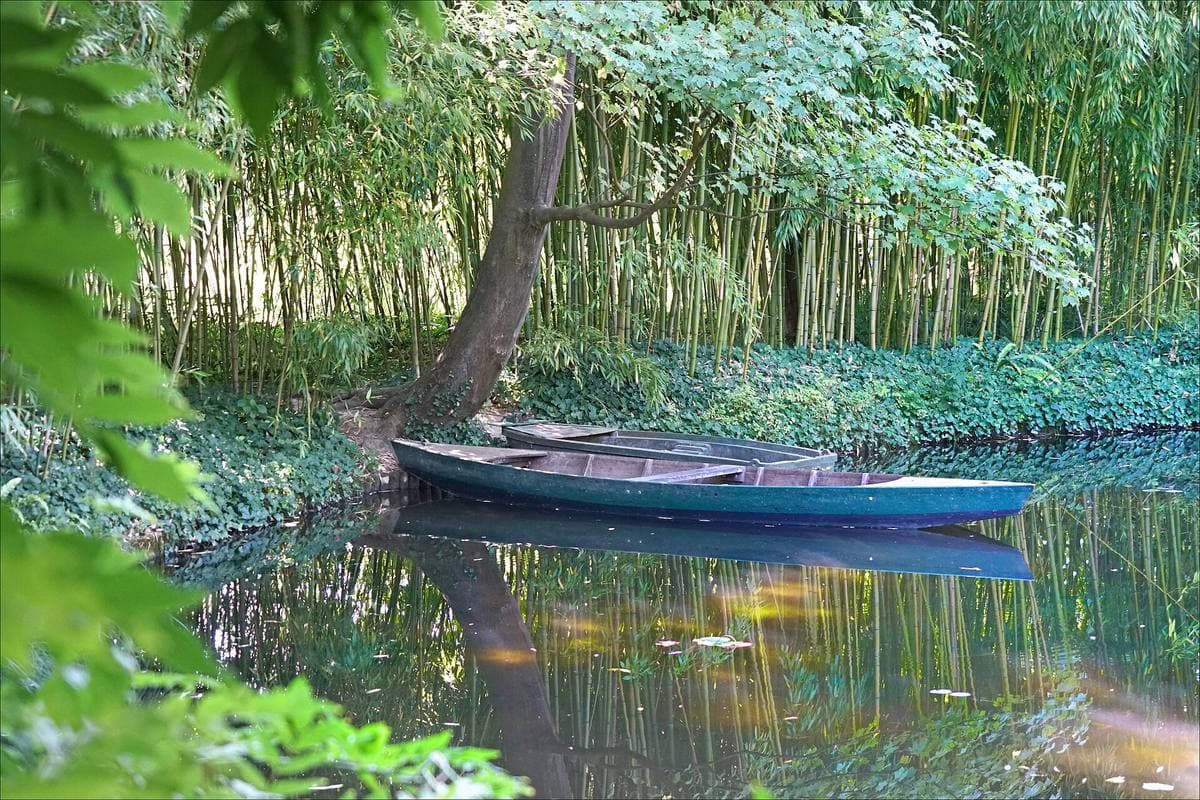A green rowing boat on a pond under bamboo and weeping willows