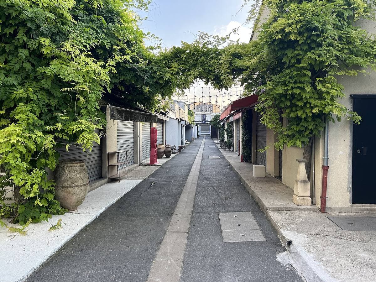 A narrow alley between shuttered antique stalls under green climbing plants