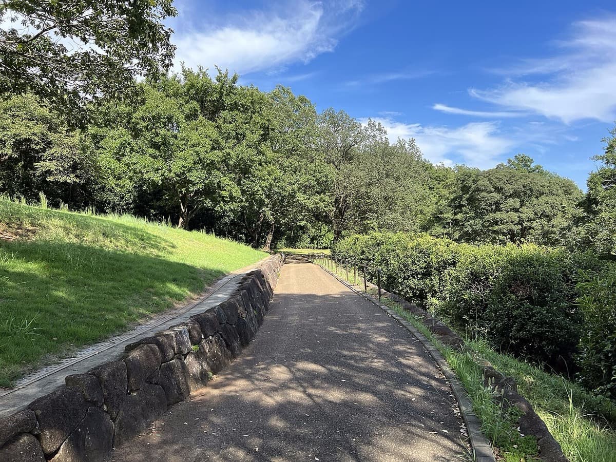A footpath through woodland in the Hachikokuyama green zone.