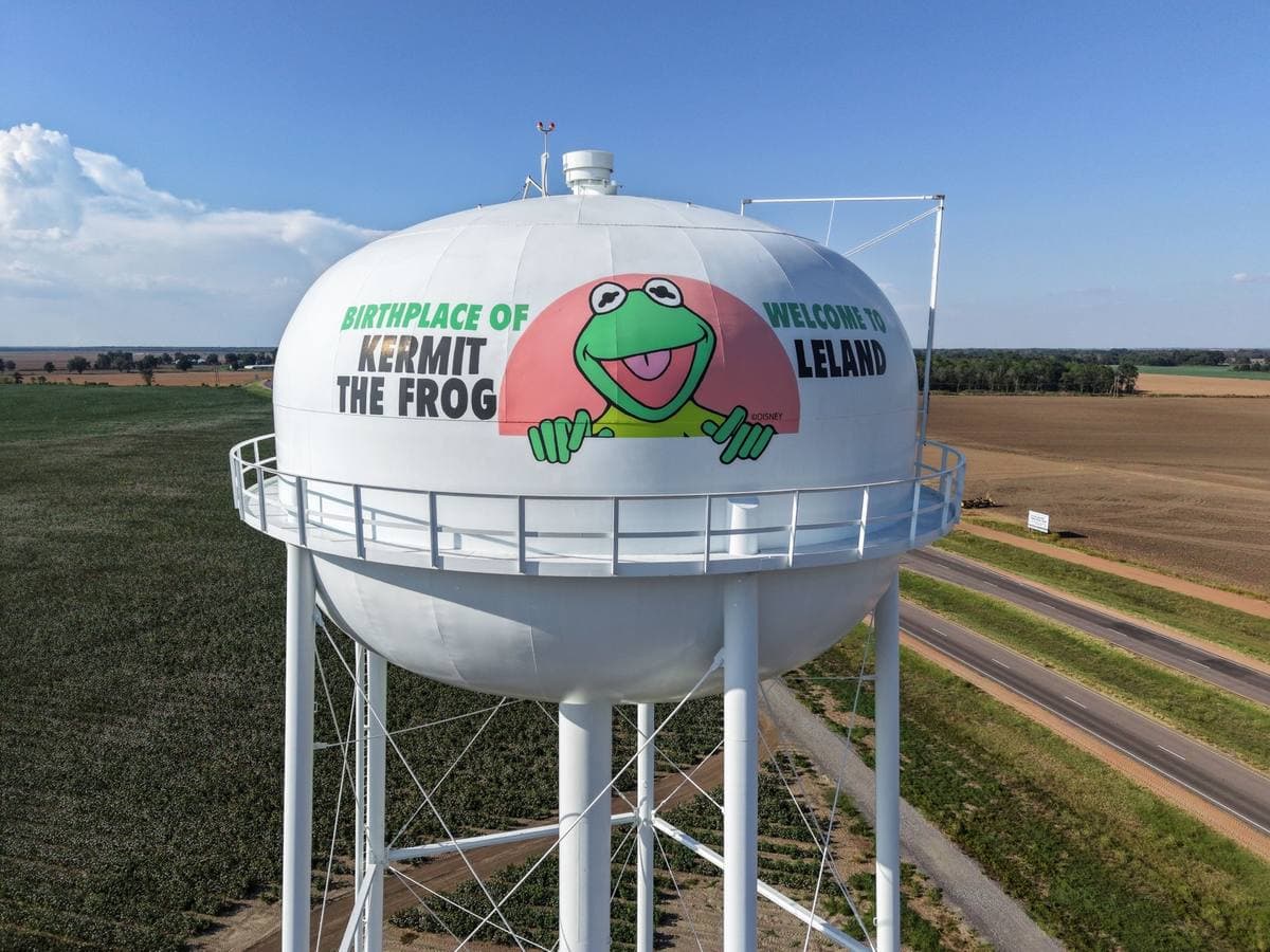 A white water tower painted with Kermit the Frog above green fields
