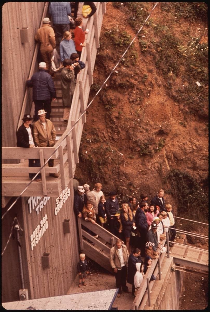 A crowd of people in 1970s clothes waiting on a dock beside small boats