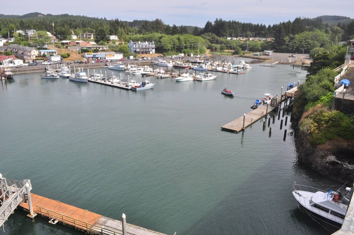 Fishing and charter boats moored in a small rocky harbour