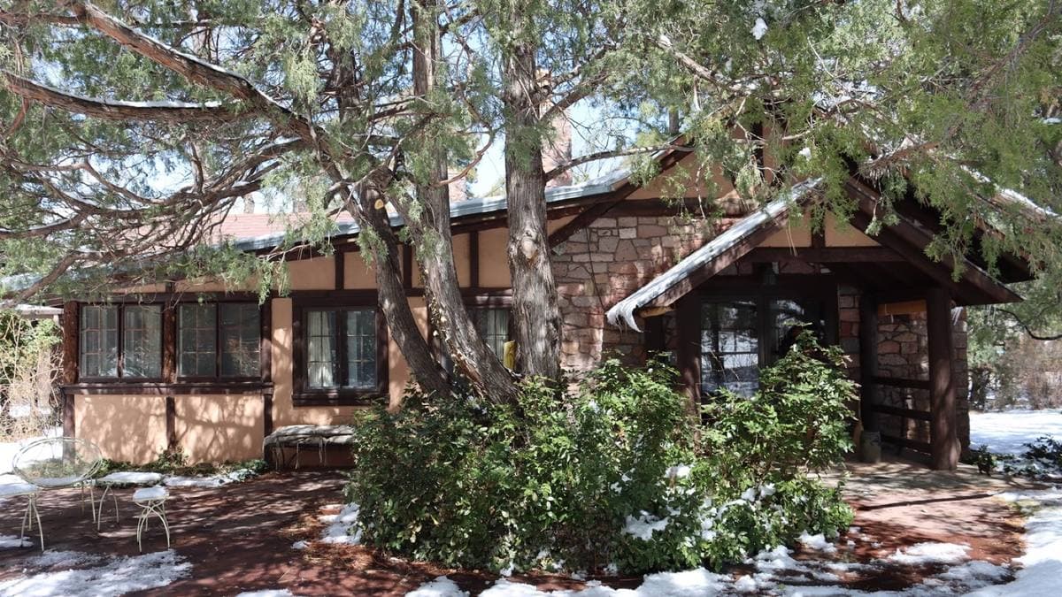 A low stone and timber house under tall pine trees