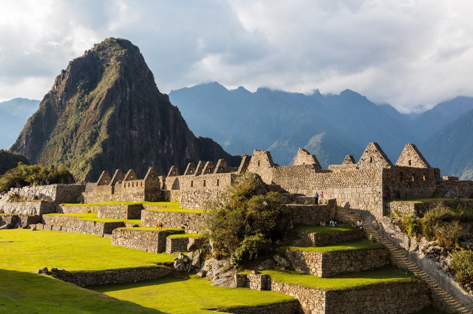 Stone terraces and houses of Machu Picchu below steep green Andean peaks