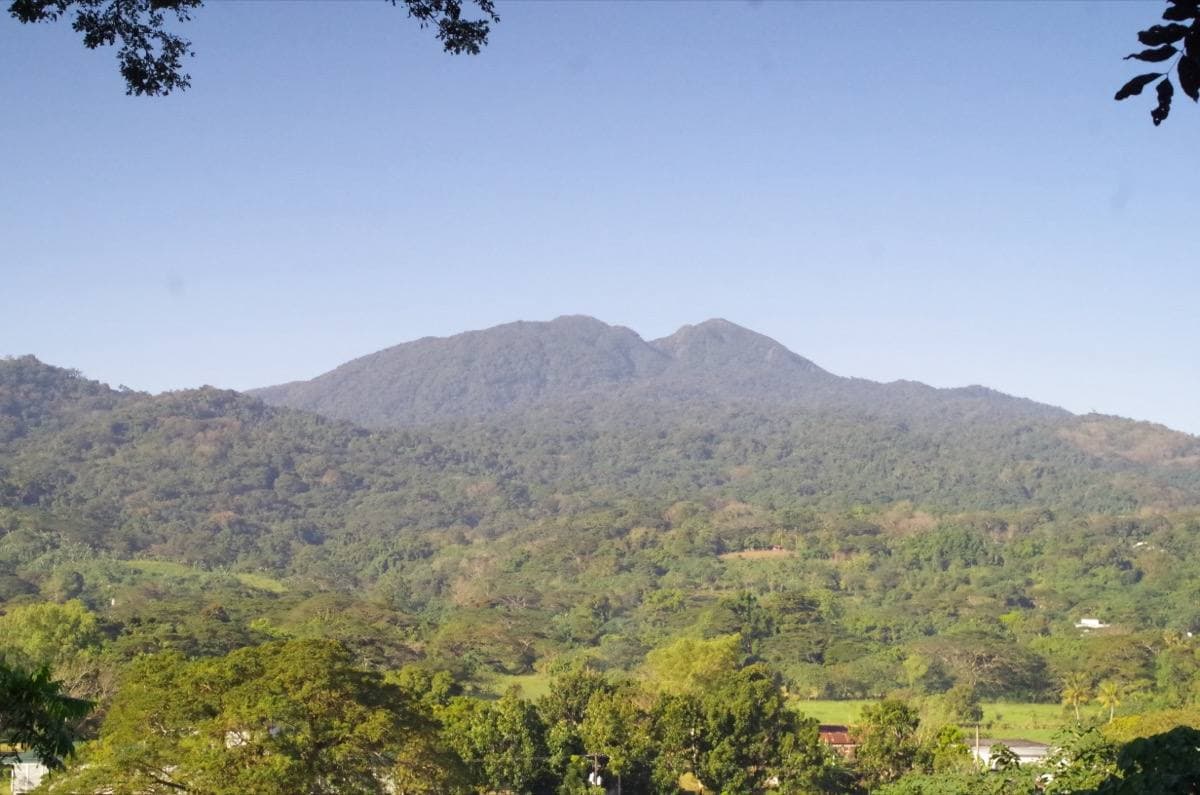 The green peaks of Mount Makiling above trees