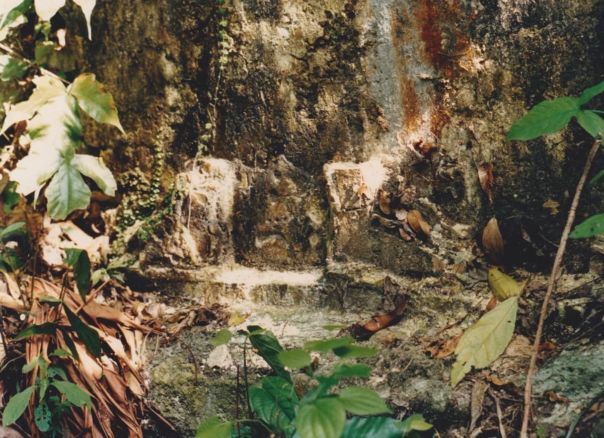 Overgrown stone ruin under dense jungle canopy near Palenque.
