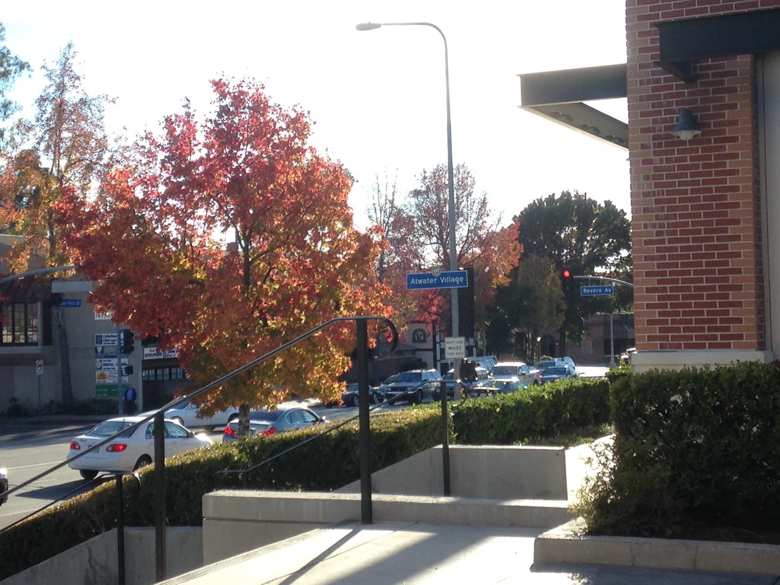 A neighbourhood street with autumn trees