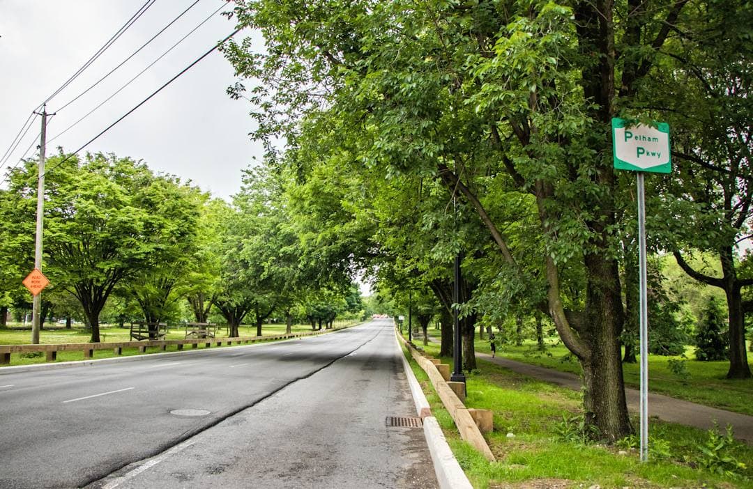 A tree-lined parkway with a wide grass mall beside the road