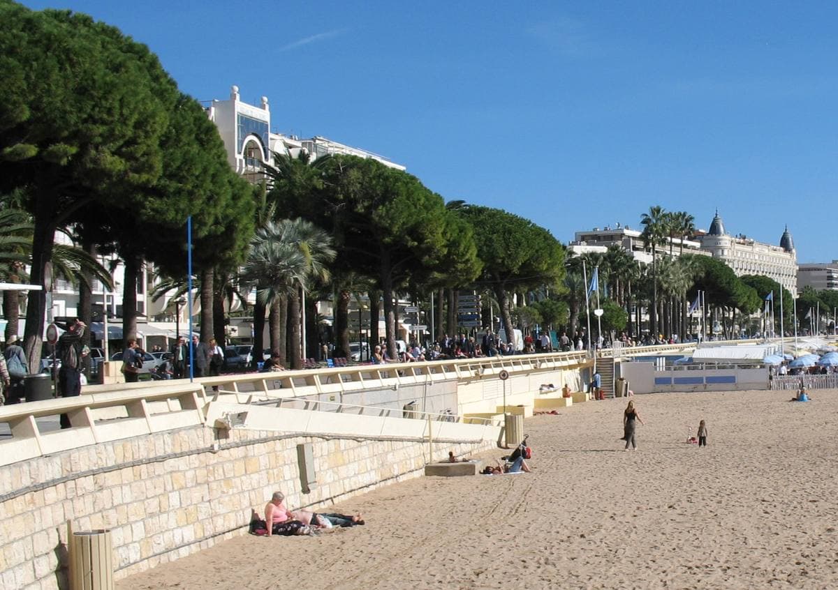 A sandy beach below a palm-lined promenade and hotels