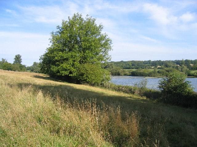A still lake edged with trees under a summer sky