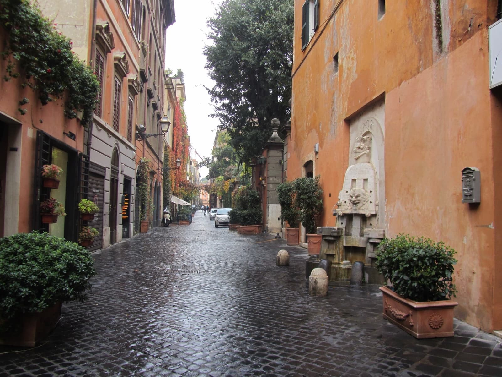 A quiet cobbled street lined with ivy and studio doors