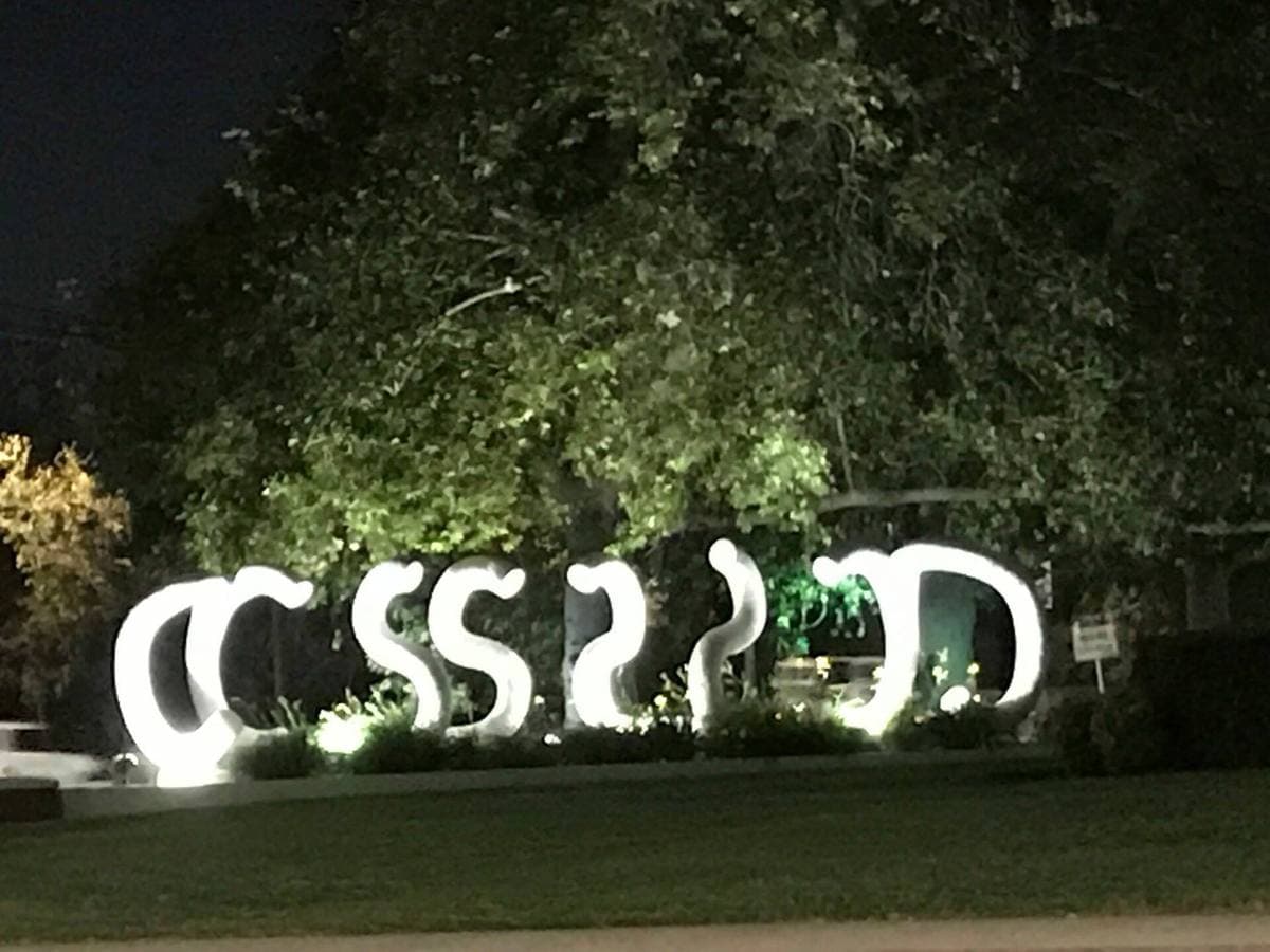 White CSUN letters glowing in the dark under trees