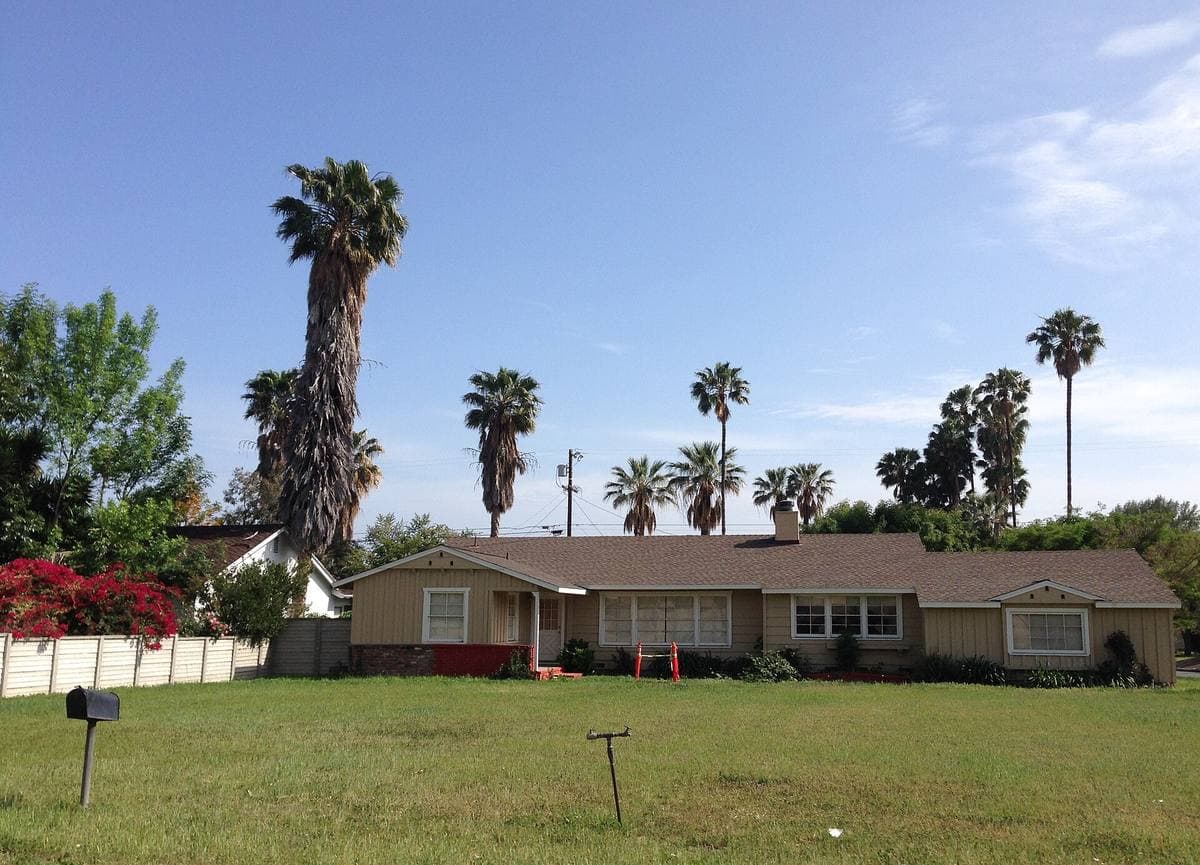 Large white CSUN letters on a lawn under trees, brick buildings behind